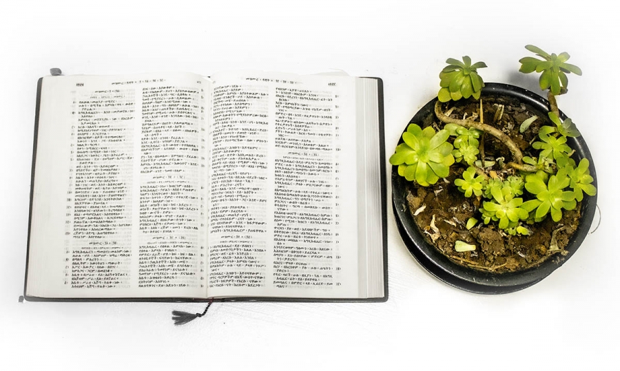 Living and Loving as Christians in a Coronavirus Age in Ethiopia